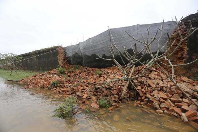 Κατέρρευσε τείχος στην Αυτοκρατορική Ακρόπολη του Χουέ: Το Υπουργείο Πολιτισμού, Αθλητισμού και Τουρισμού ζητά επανεξέταση και ιεράρχηση προτεραιοτήτων στην επισκευή - Φωτογραφία 1. Sập tường trong Hoàng thành Huế: Bộ VH-TT-DL yêu cầu rà soát, ưu tiên khắc phục- Ảnh 1.