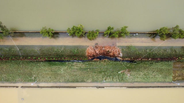 Κατέρρευσε τείχος στην Αυτοκρατορική Ακρόπολη του Χουέ: Το Υπουργείο Πολιτισμού, Αθλητισμού και Τουρισμού ζητά επανεξέταση και ιεράρχηση προτεραιοτήτων για την επισκευή του - Φωτογραφία 2. Sập tường trong Hoàng thành Huế: Bộ VH-TT-DL yêu cầu rà soát, ưu tiên khắc phục- Ảnh 2.