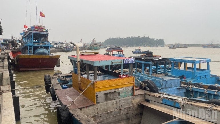 בנמל הדייגים לה גי עוגנות סירות דיג רבות בבטחה. ndo_br_img-6756-5163.jpg