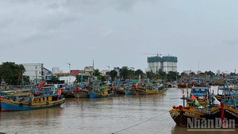 בנהר קא טיי עוגנות סירות דיג רבות. ndo_br_45fc5e828ef902a75be8-8683.jpg