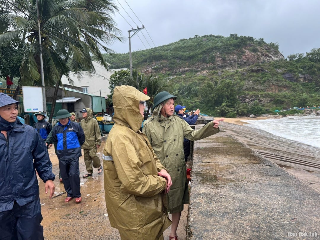 Vicepreședintele Comitetului Popular Provincial, Dao My, a inspectat lucrările de intervenție la furtuna nr. 13 în zona digului, satul 2, comuna Xuan Loc.