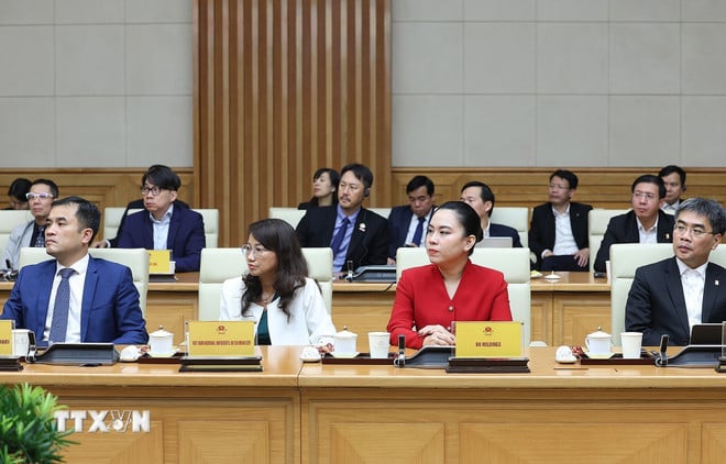 ttxvn-thu-tuong-tar-mot-delegationen-av-ledare-för-internationella-medborgarföretag-1-1703.jpg