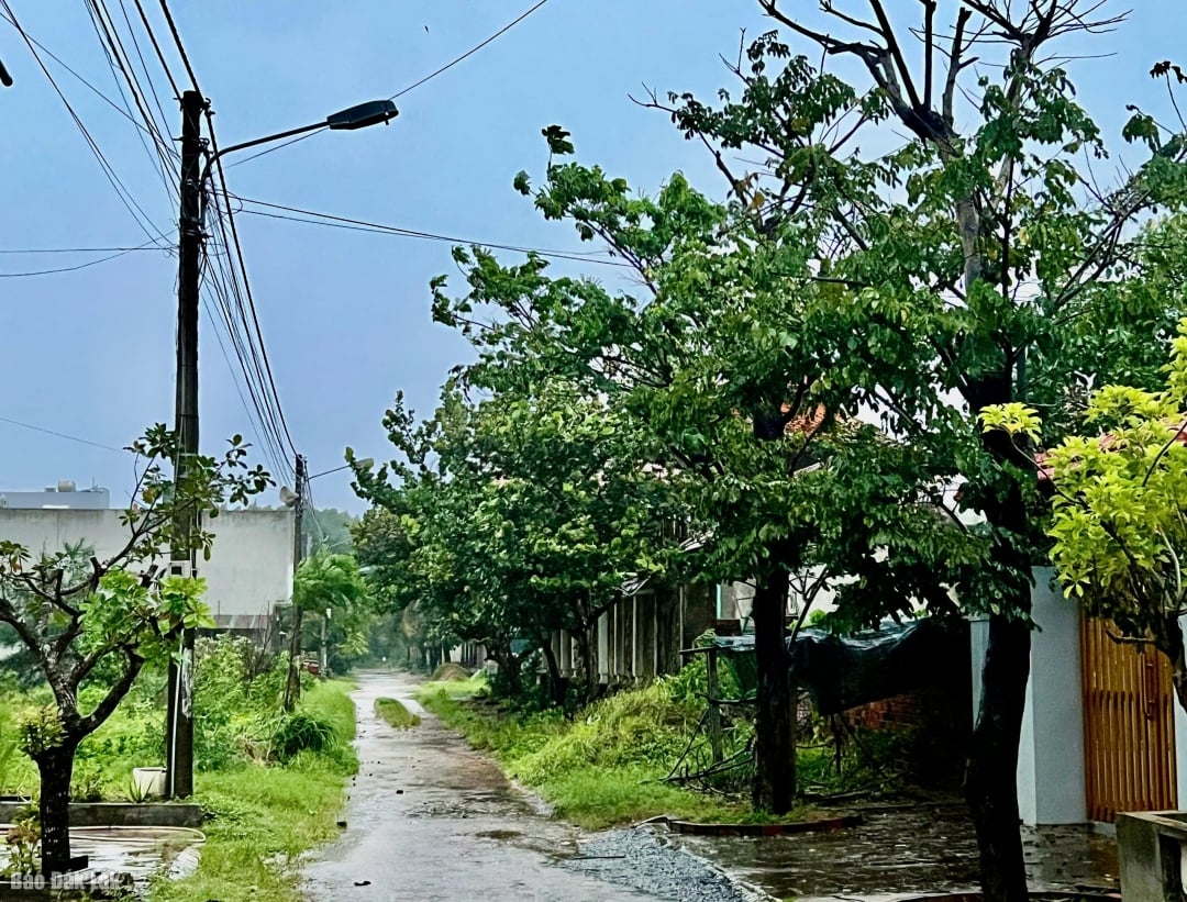 Op 6 november werd de woonwijk Lien Tri 2, wijk Binh Kien, in de middag verlicht door het elektriciteitsnet.