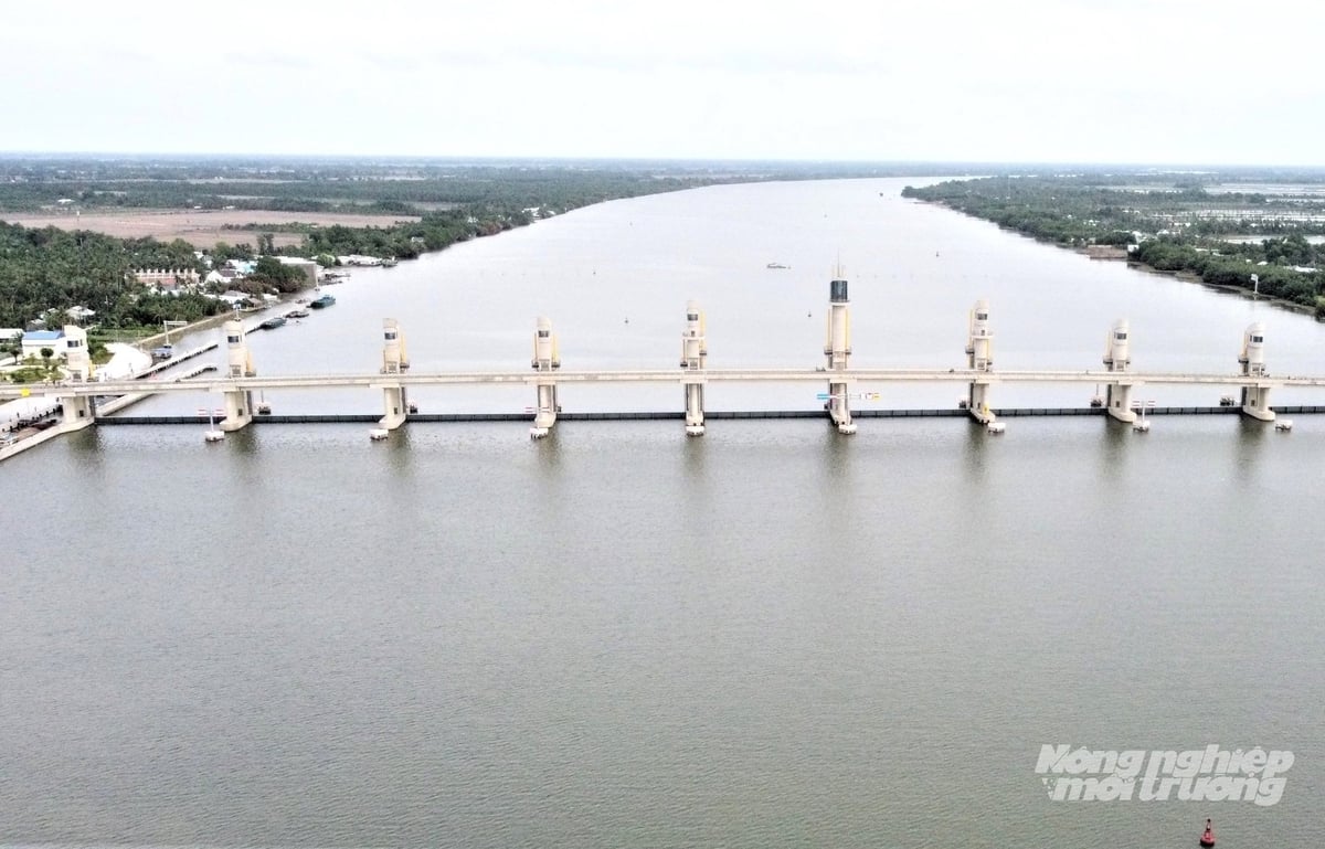 Từ ngày 6/11, cống Cái Lớn đã được đóng tối đa 9/11 cửa van, nhằm ứng phó với bão Kalmaegi kết hợp triều cường, giúp tiêu thoát nước, giảm áp lực cho hệ thống kênh mương nội đồng. Ảnh: Trung Chánh.