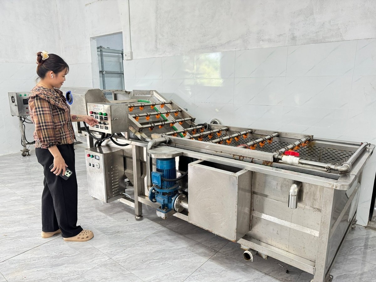 Công ty TNHH Khoa học và Công nghệ Nông Tín đầu tư máy móc, áp dụng công nghệ để chế biến sâu sản phẩm tỏi Lý Sơn. Ảnh: L.K.