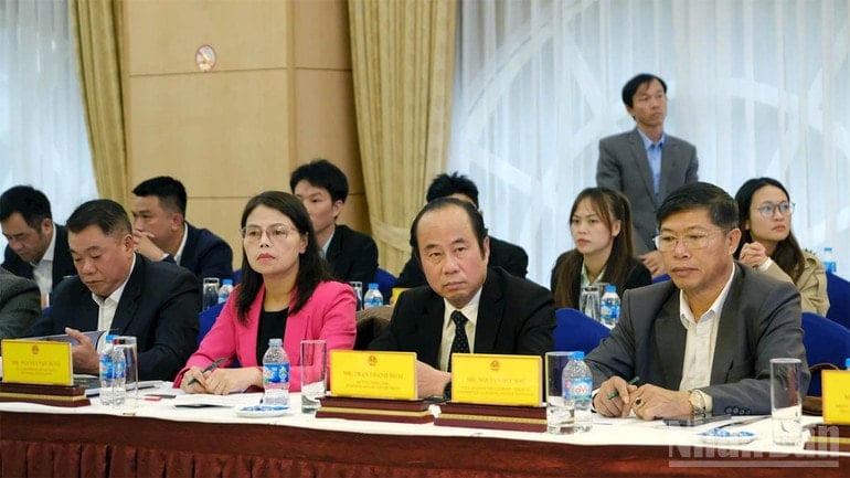 An dem Programm nahmen Vertreter der Abteilungen und Zweigstellen der Provinz Lam Dong teil. ndo_br_8.jpg