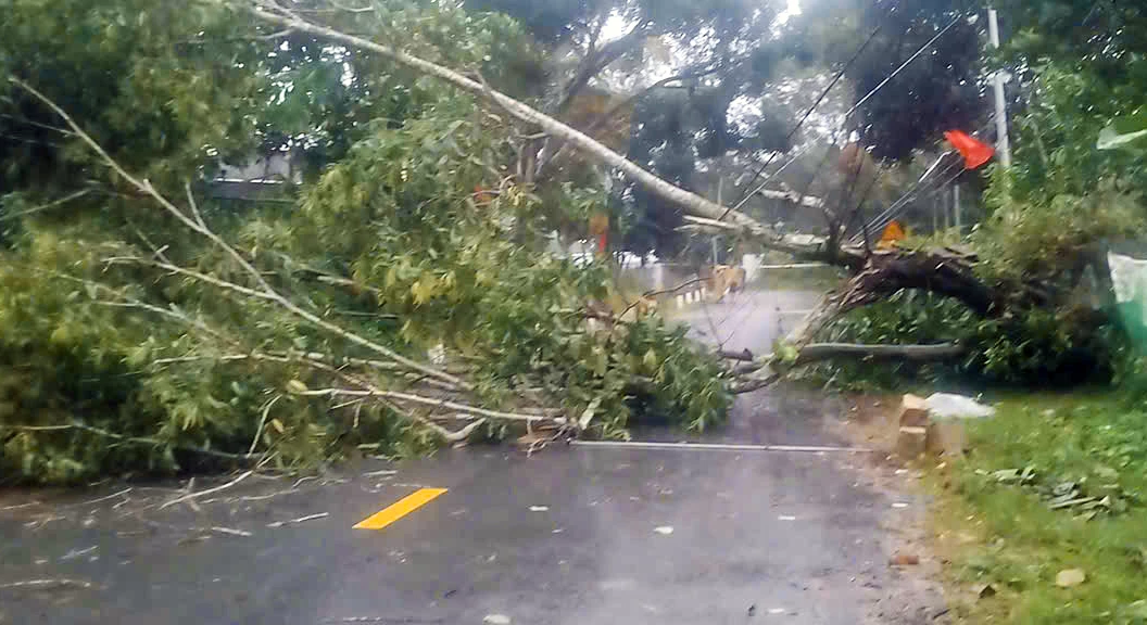 עצים שנפלו בכביש המחוזי 9 נכרתו ופונו לתנועה.