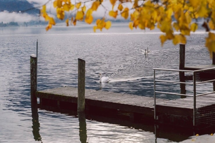 Feloranje trossen Chinese lantaarnplanten versieren een huis in Hallstatt.