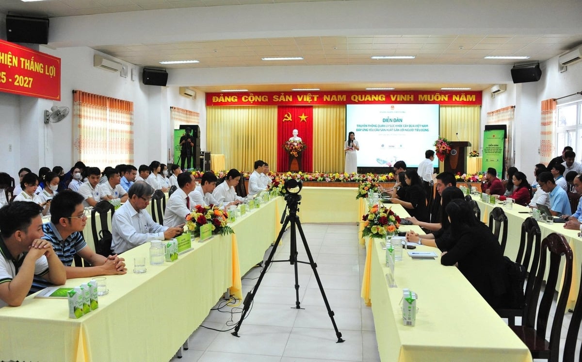 Overzicht van het forum 'Communicatie over het gezondheidsbeheer van kokosbomen in Vietnam om te voldoen aan de productie-eisen van consumenten'. Foto: Le Hoang Vu. Toàn cảnh Diễn đàn 'Truyền thông quản lý sức khỏe cây dừa Việt Nam đáp ứng yêu cầu sản xuất gắn với người tiêu dùng'. Ảnh: Lê Hoàng Vũ.