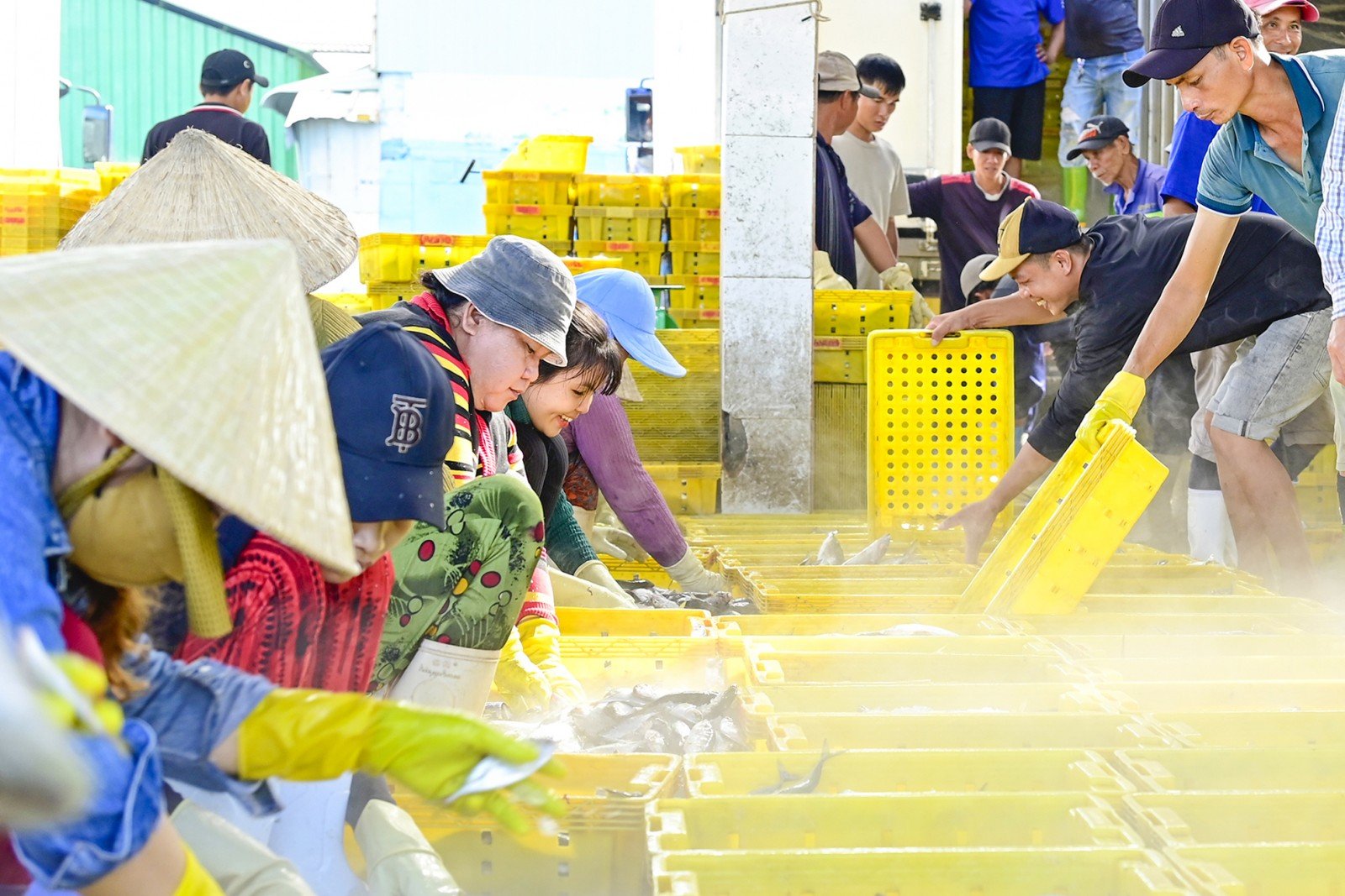 Di dalam pelabuhan perikanan Tac Cau
