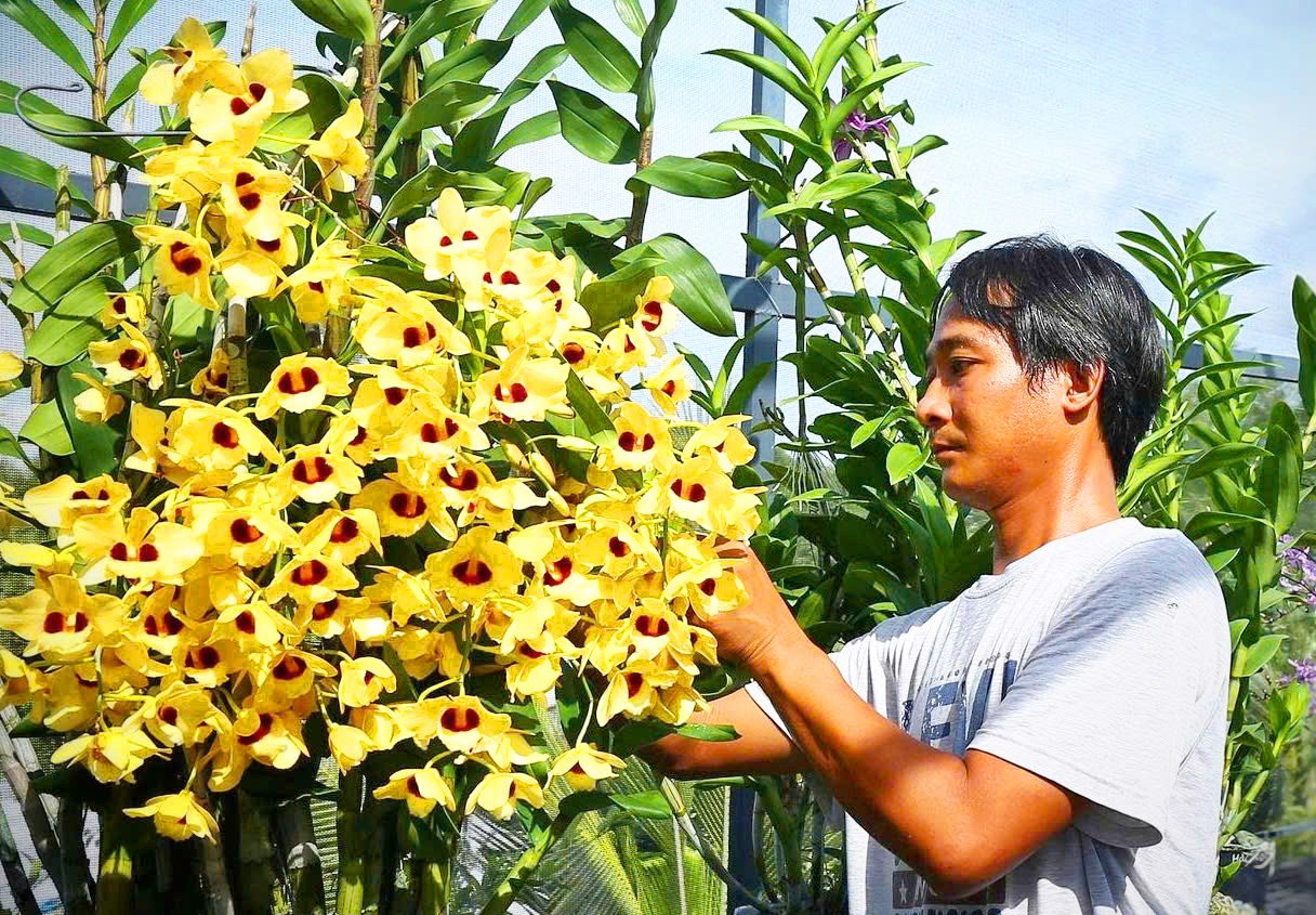 ชาวนาชาวจัวฟูสร้างบ้านเกิดของตนเองอย่างกระตือรือร้น