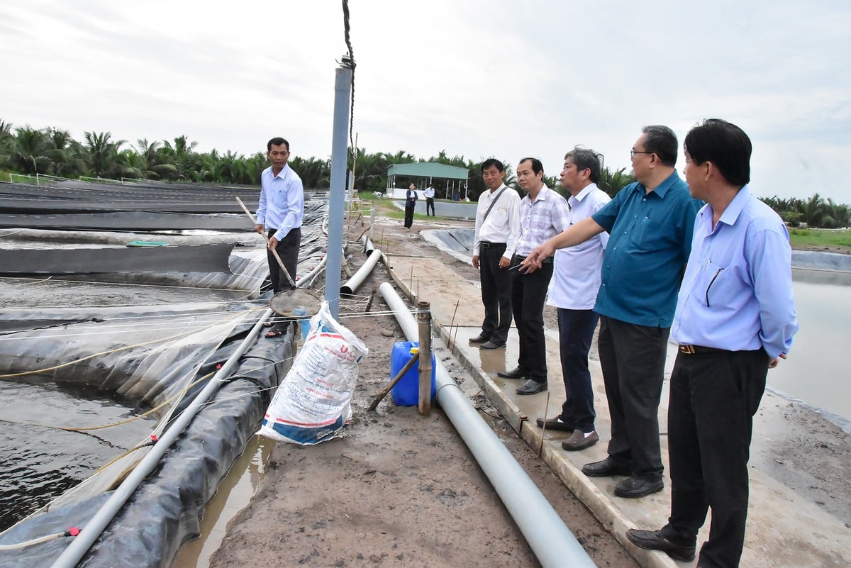 Kelompok kerja melakukan survei di lahan pembibitan di kecamatan Vinh Kim.