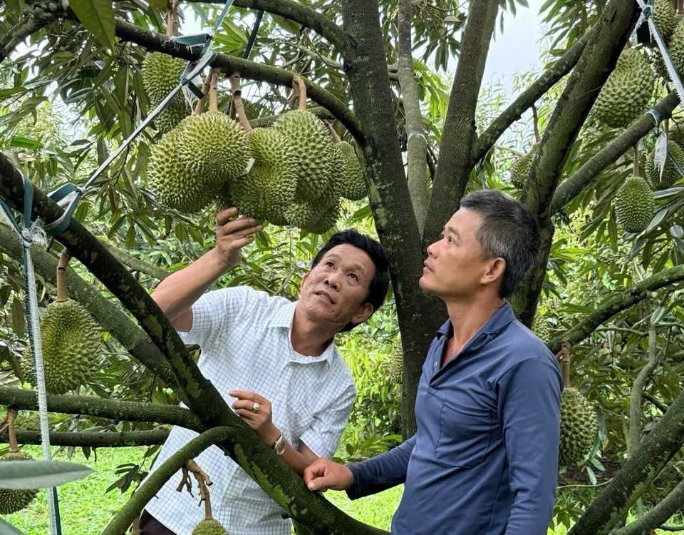 ចំណងជើងរូបថត