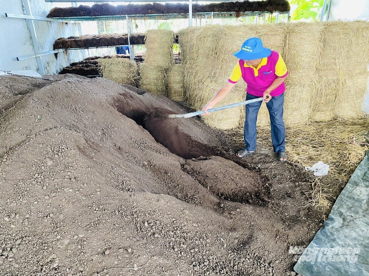 Arbetare blandar organiskt gödselmedel från rutten halm för att möjliggöra cirkulär jordbruksproduktion i Mekongdeltat. Foto: Le Hoang Vu. Công nhân phối trộn phân hữu cơ từ rơm mục phục vụ sản xuất nông nghiệp tuần hoàn tại ĐBSCL. Ảnh: Lê Hoàng Vũ.