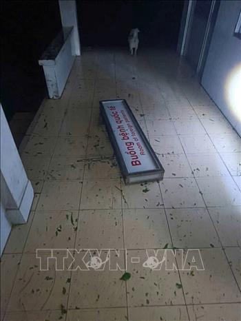 Légende de la photo