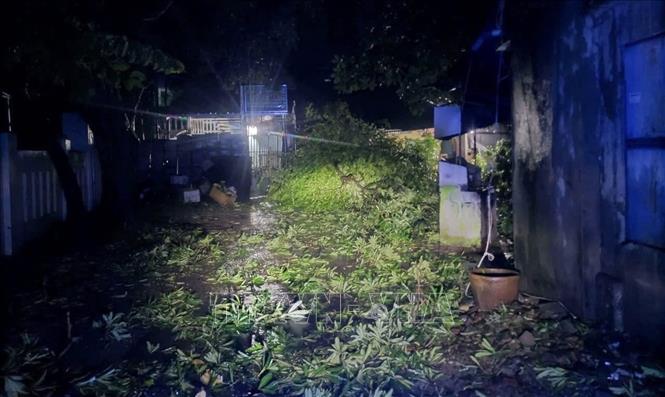 Подпись к фотографии