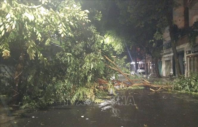 Подпись к фотографии