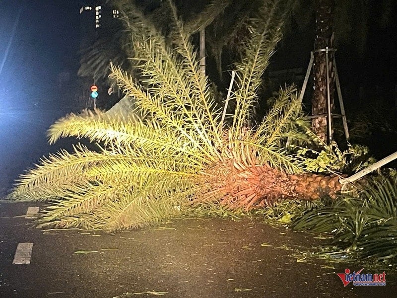 W-Kehancuran setelah badai 1.jpg