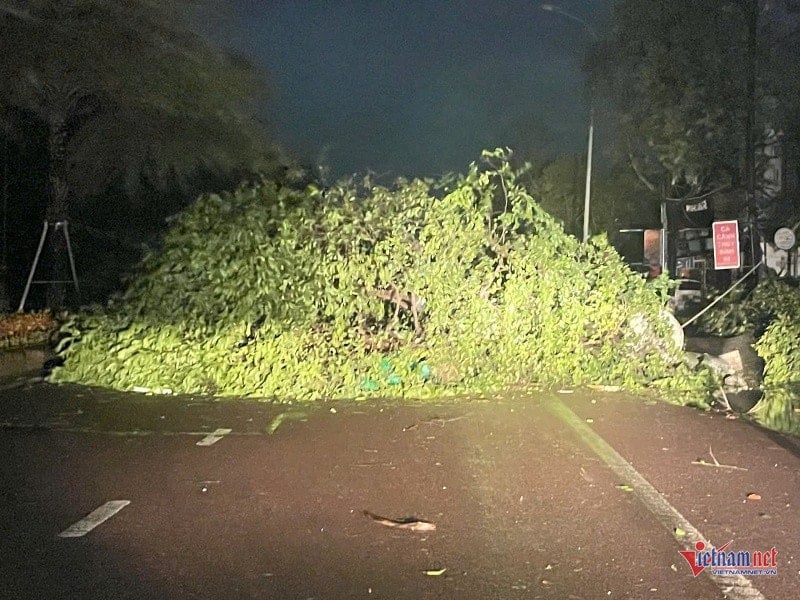 W-Kehancuran setelah badai 2.jpg