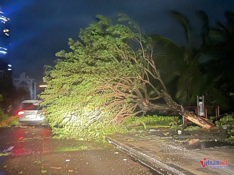 W-Kehancuran setelah badai 3.jpg