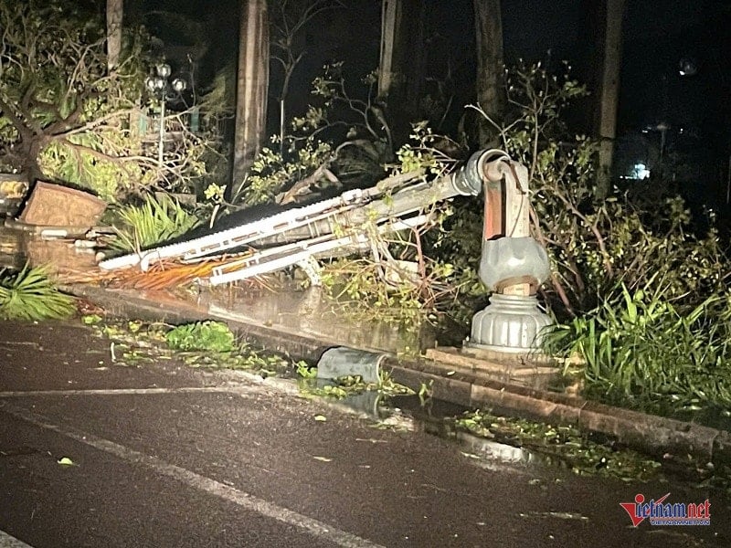 W-Kehancuran setelah badai 5.jpg