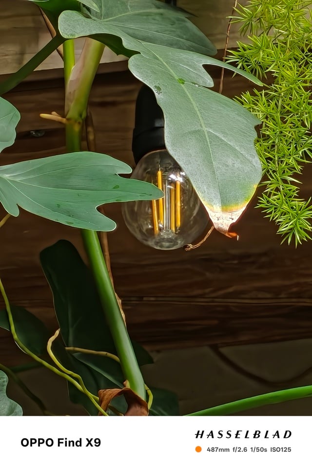 Đánh giá chuyên sâu camera OPPO Find X9 - Ảnh 17.