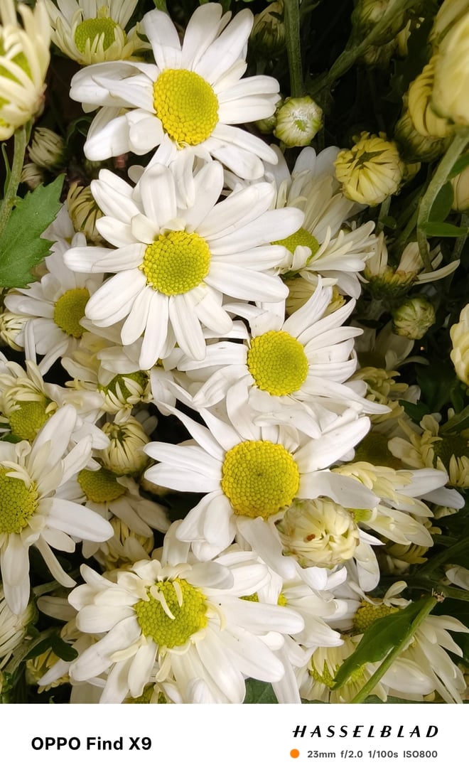 Đánh giá chuyên sâu camera OPPO Find X9 - Ảnh 18.