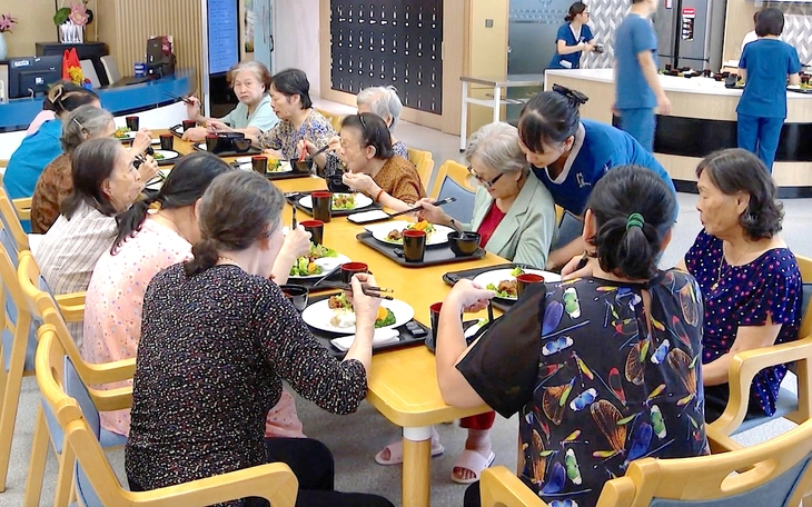 Οικοτροφεία γηροκομείων: Η διέξοδος όταν ο πληθυσμός γερνάει - Φωτογραφία 1. dưỡng lão bán trú - Ảnh 1.