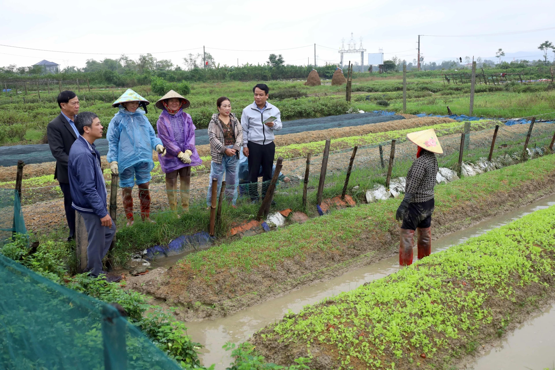 A tartományi Növénytermesztési és Növényvédelmi Osztály tisztviselői téli zöldségültetési technikákra oktatják a lakókat Nam Gianh községben - Fotó: Q.N