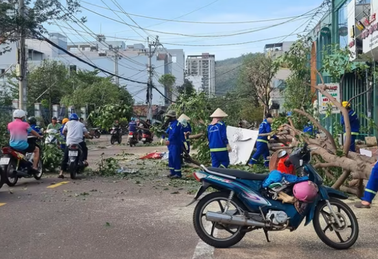 Gia Lai: De gevolgen van storm nr. 13 moeten zo snel mogelijk overwonnen worden en het leven van mensen moet zo snel mogelijk gestabiliseerd worden - Foto 3. Gia Lai: Khẩn trương khắc phục hậu quả sau bão số 13, sớm ổn định cuộc sống người dân- Ảnh 3.