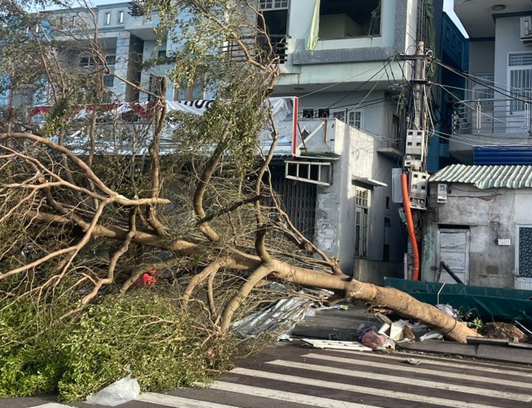 Gia Lai: De gevolgen van storm nr. 13 moeten zo snel mogelijk overwonnen worden en het leven van mensen moet zo snel mogelijk gestabiliseerd worden - Foto 7. Gia Lai: Khẩn trương khắc phục hậu quả sau bão số 13, sớm ổn định cuộc sống người dân- Ảnh 7.