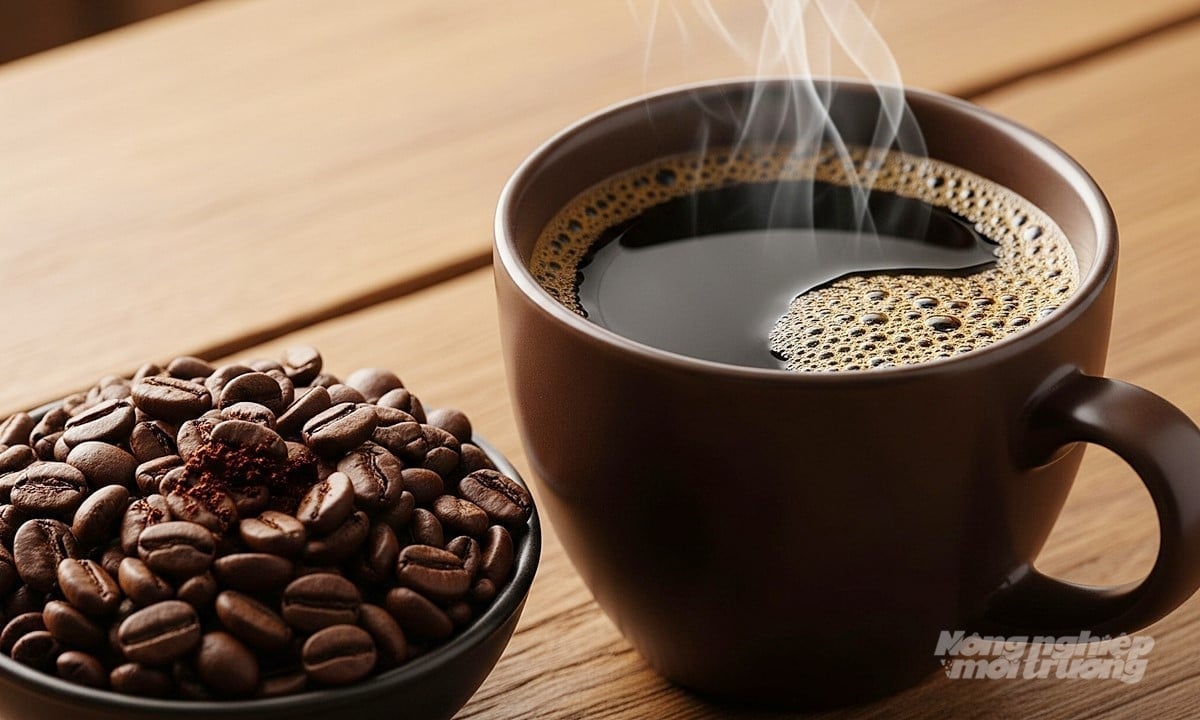 Ceny kávy dnes 7. 11. 2025 v zemi a ve světě, nejnovější informace Giá cà phê hôm nay 7/11/2025 ở trong nước và thế giới mới nhất