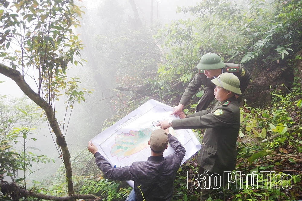 Van bewustwording van mensen naar effectief duurzaam bosbeheer