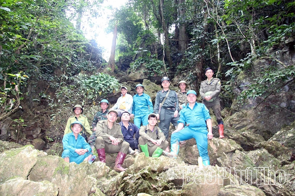 Van bewustwording van mensen naar effectief duurzaam bosbeheer