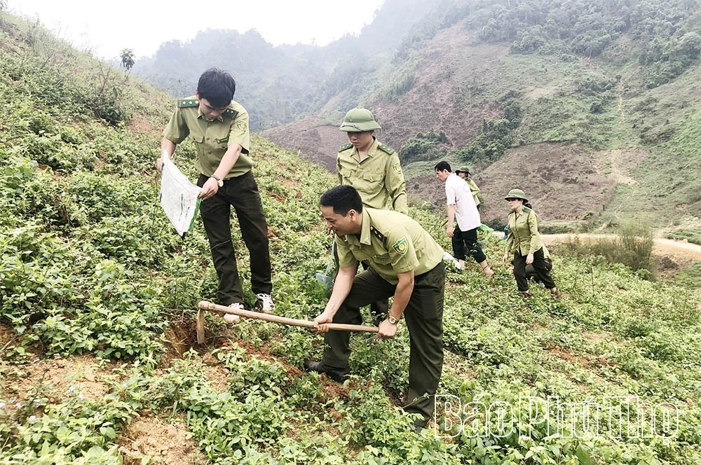 Van bewustwording van mensen naar effectief duurzaam bosbeheer