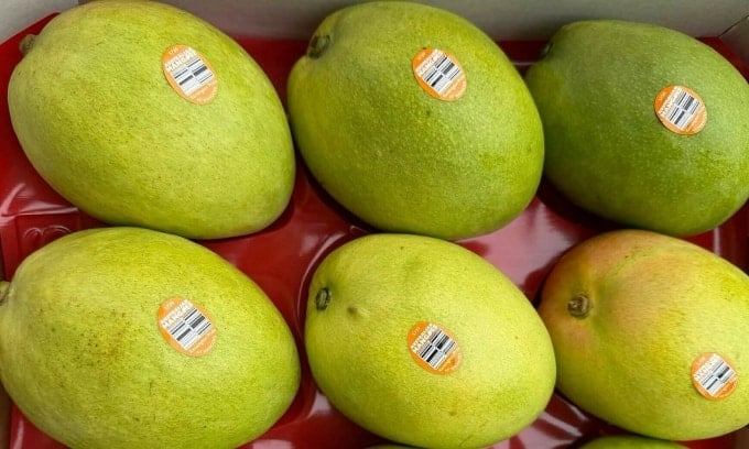 Kensington Pride mangoes are available at Binh Thanh ward stores. Photo: Maui Foods