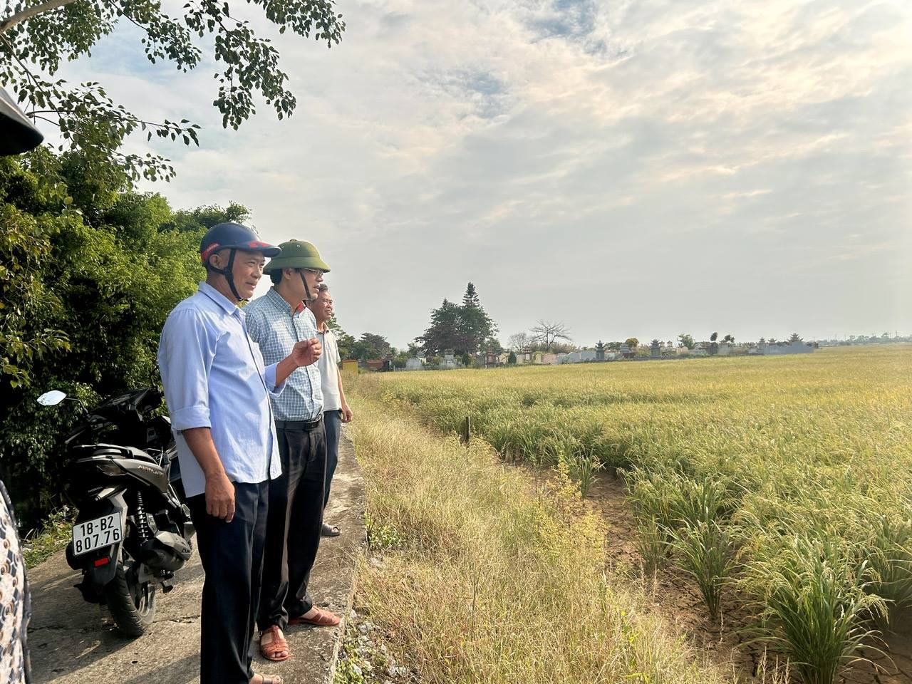 אני מאמין לך