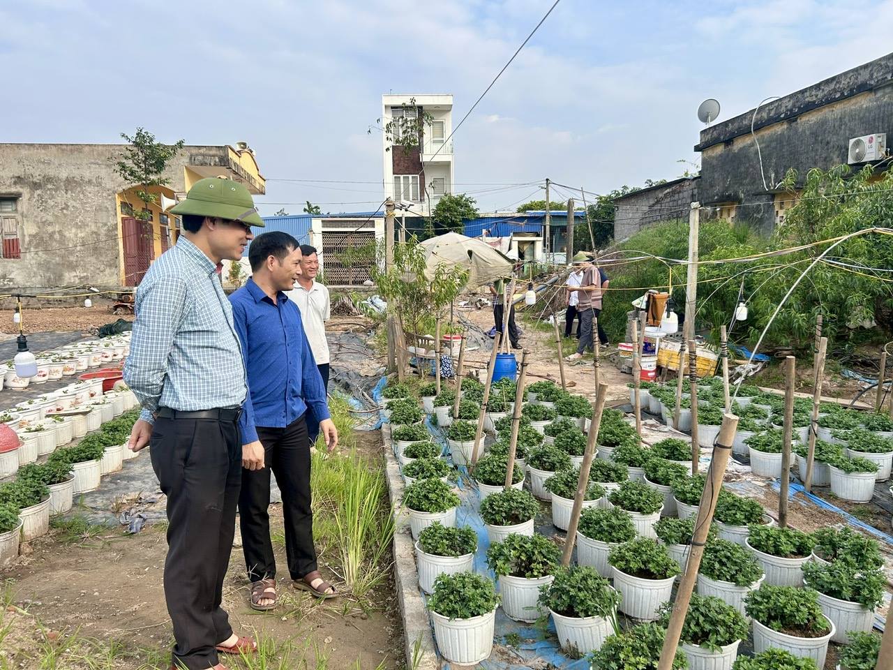 אני מאמין לך