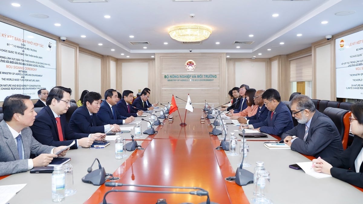 שר החקלאות והסביבה טראן דוק טאנג קיבל את פניו של מר מרטין קבלואפה, מנכ Bộ trưởng Bộ Nông nghiệp và Môi trường Trần Đức Thắng tiếp và làm việc với ông Martin Kabaluapa, Tổng Giám đốc các văn phòng của Tổ chức Quốc tế về Bảo tồn Thiên nhiên (WWF). Ảnh: Khương Trung.