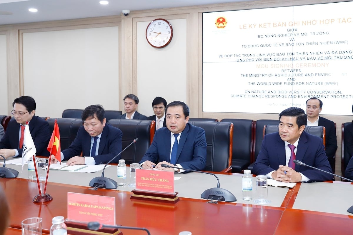 שר החקלאות והסביבה טראן דוק טאנג. צילום: קואנג טרונג. Bộ trưởng Bộ Nông nghiệp và Môi trường Trần Đức Thắng. Ảnh: Khương Trung.