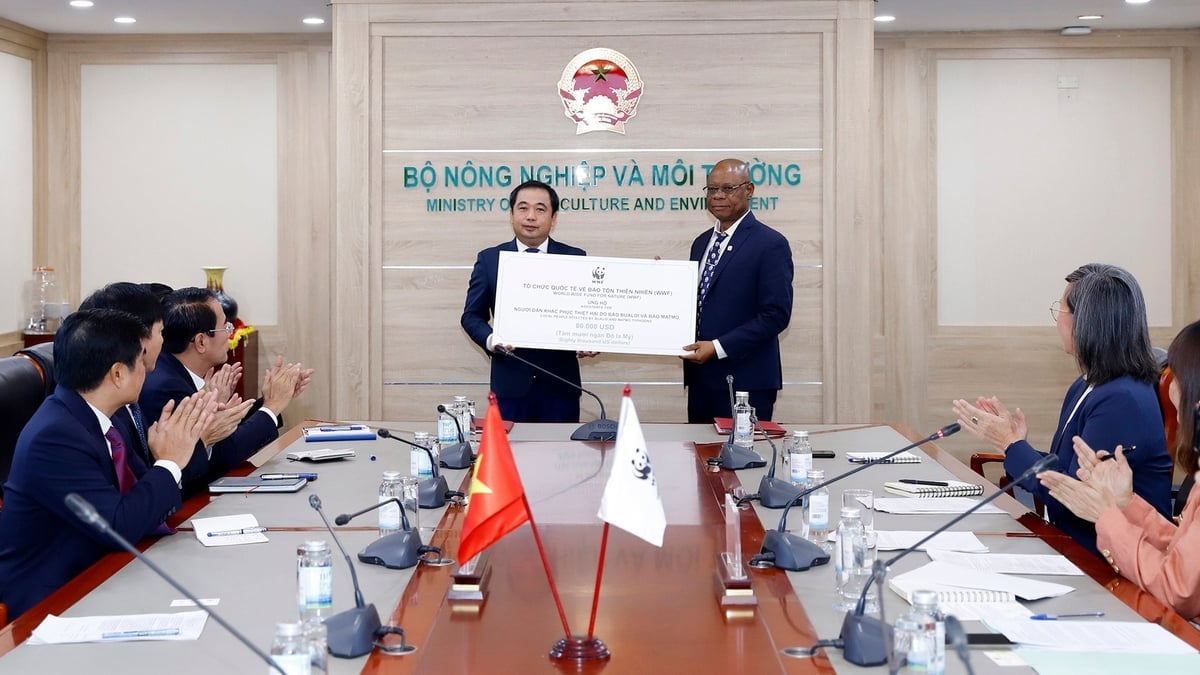 WWF הבינלאומי שלח 80,000 דולר כסיוע לאזרחי וייטנאם שנפגעו מההצפות כדי לסייע להם להתגבר על קשיים בתקופה הקרובה. צילום: קואנג טרונג. WWF quốc tế gửi đến đồng bào đang bị bão lũ của Việt Nam số tiền hỗ trợ là 80.000 USD để khắc phục những khó khăn trong thời gian tới. Ảnh: Khương Trung.