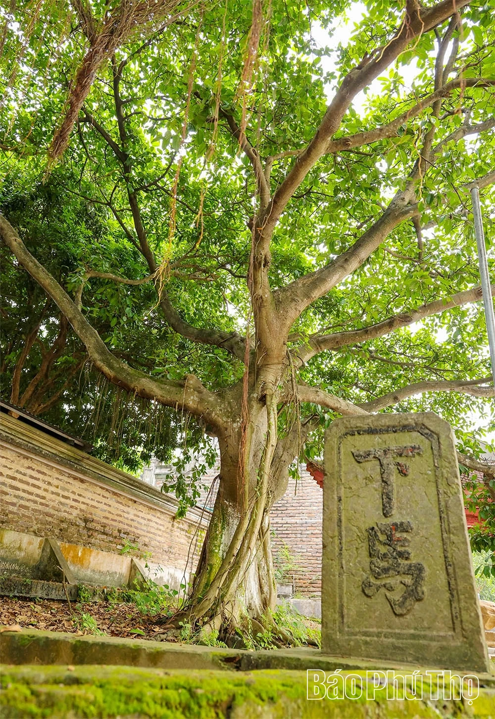 O lugar para preservar o espírito heroico de Lam Son.