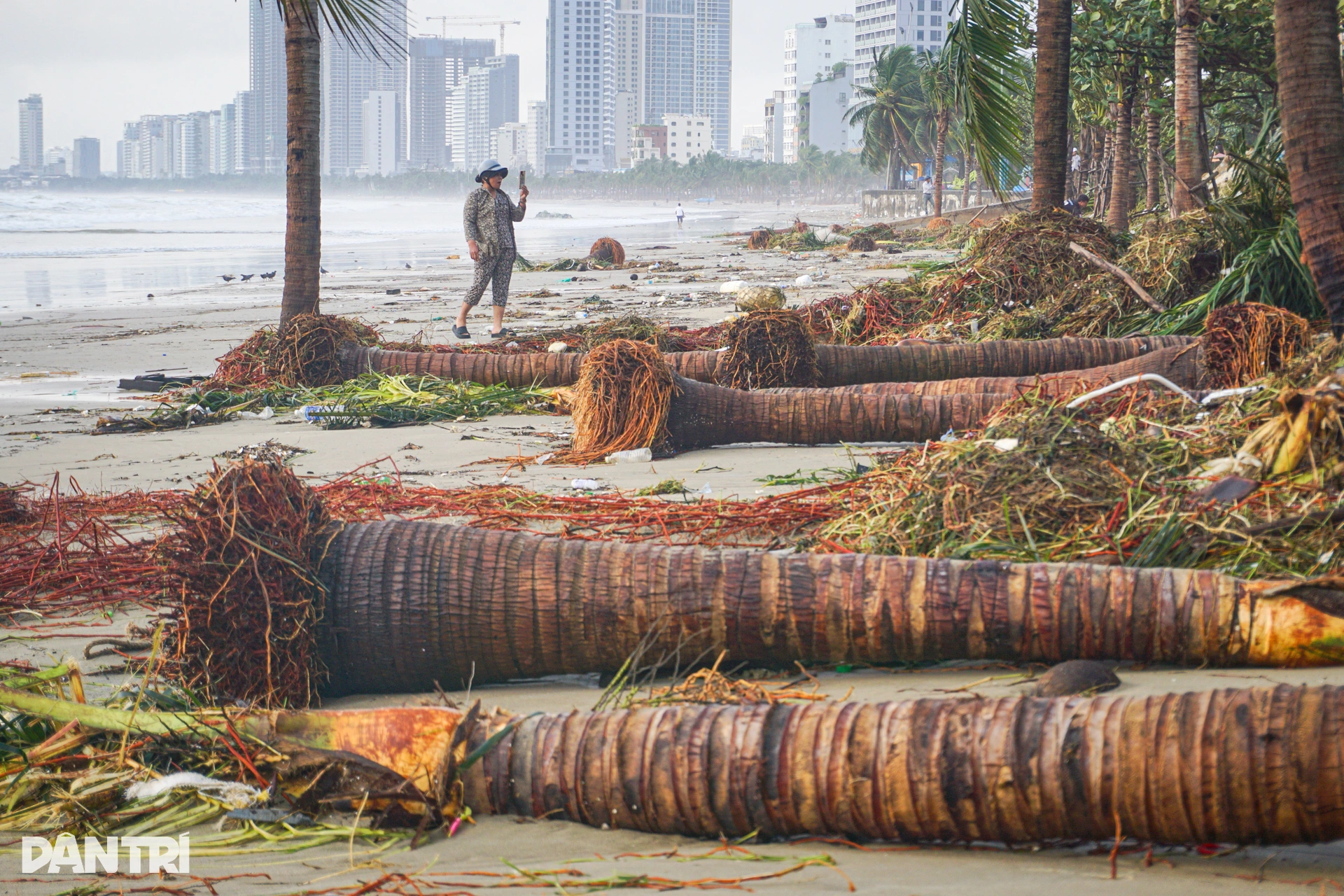 1.เว็บพี