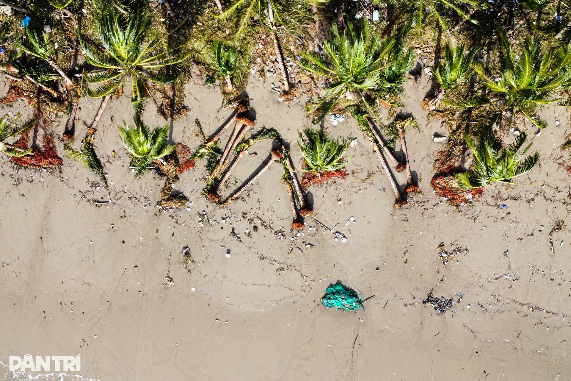 5.เว็บพี