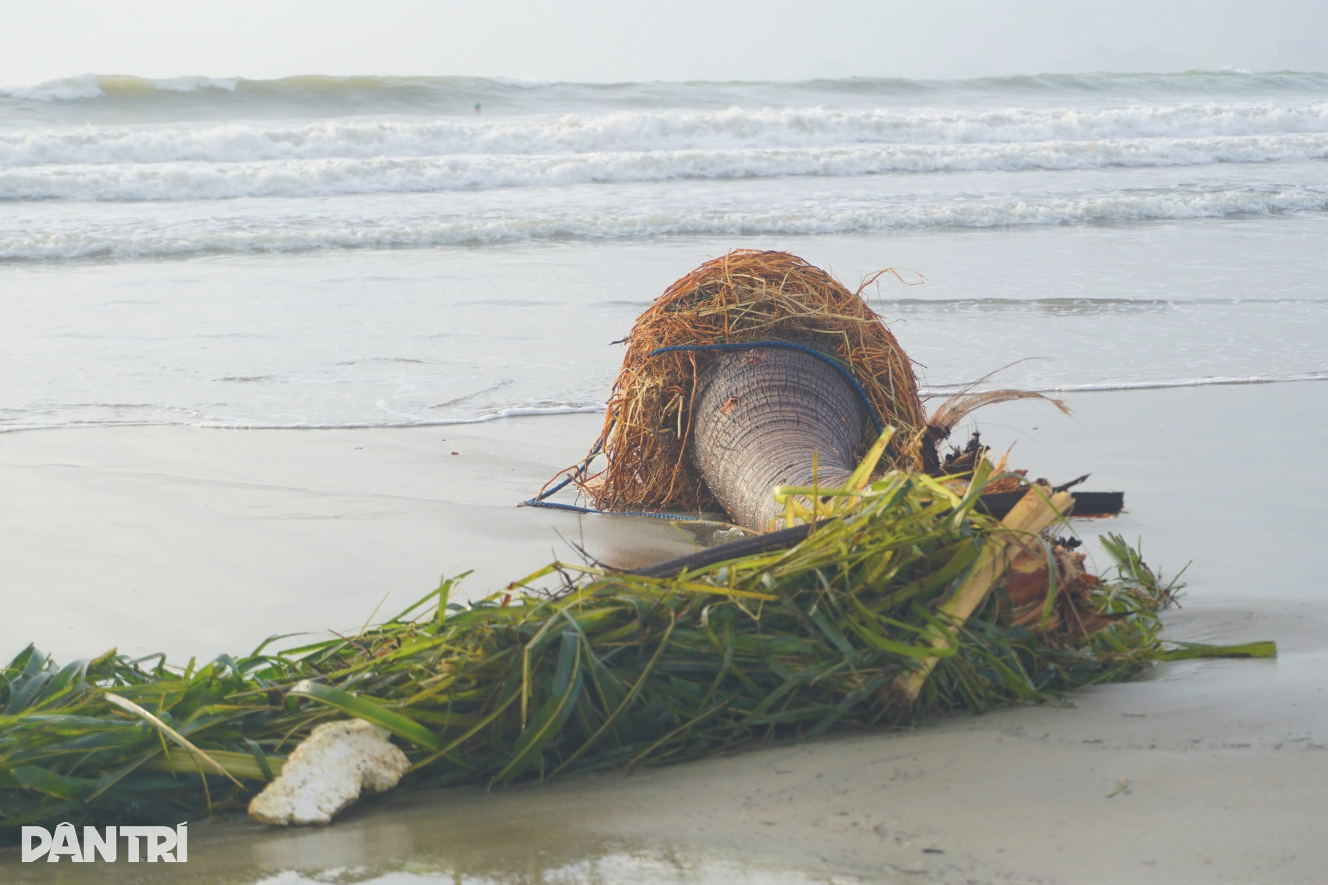 6.เว็บพี