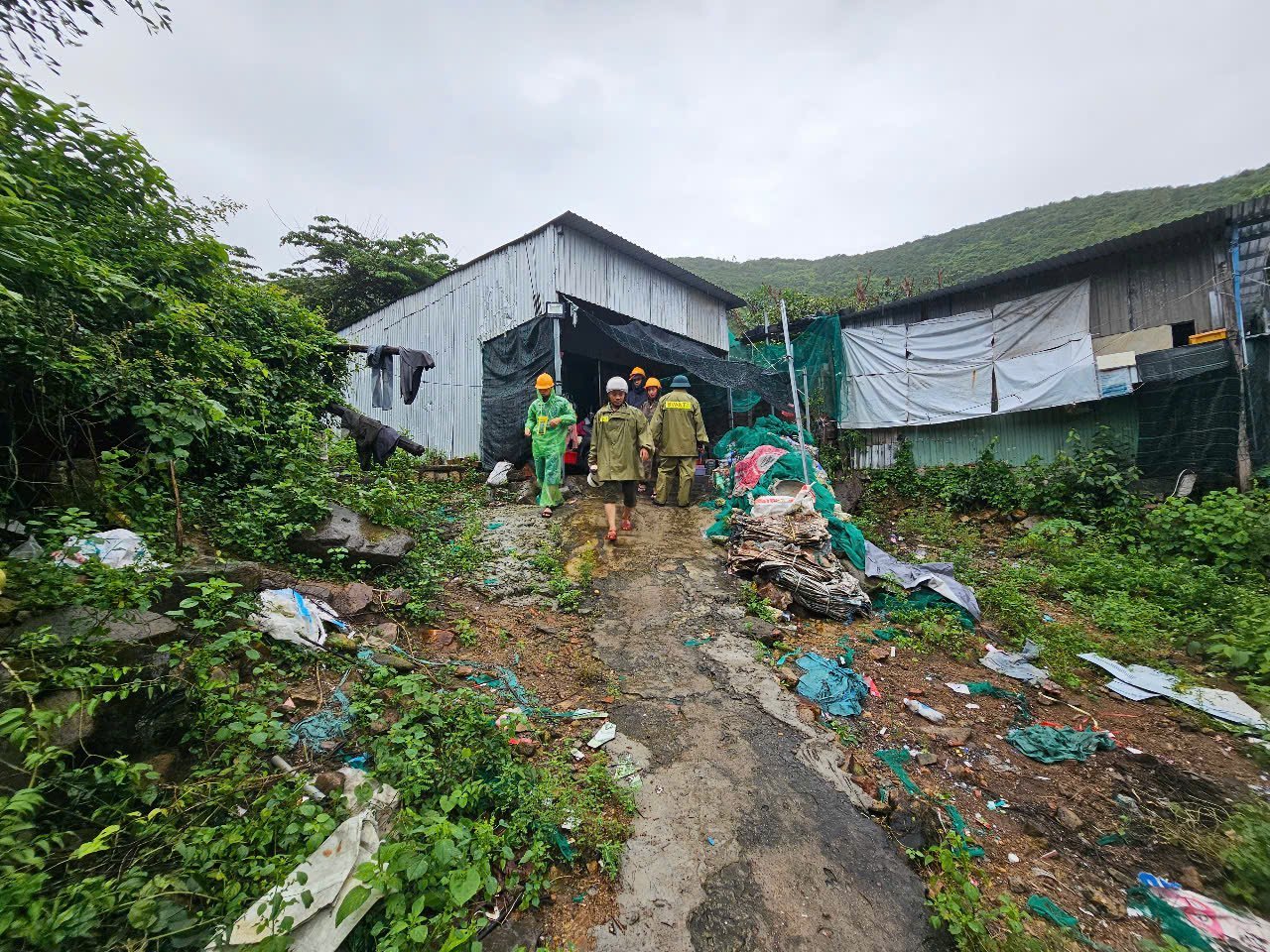 För att hantera storm nr 13 har Khanh Hoa-provinsen vidtagit drastiska åtgärder. Foto: Kim So. Để ứng phó bão số 13, tỉnh Khánh Hòa đã triển khai quyết liệt. Ảnh: Kim Sơ.