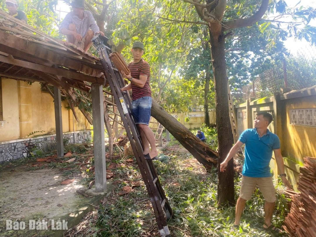 Tiến hành lợp lại các mái ngói bị tốc do bão ở trường học