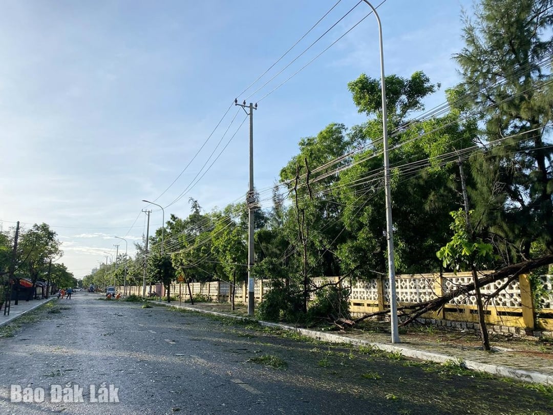 På grund av storm 13:s påverkan skadades elnätet i många områden, vilket orsakade strömavbrott för kunderna.