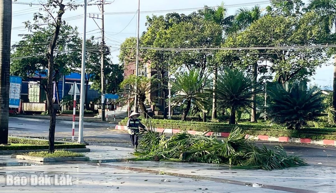 Renhållningsarbetare städar upp fallna träd efter stormen.