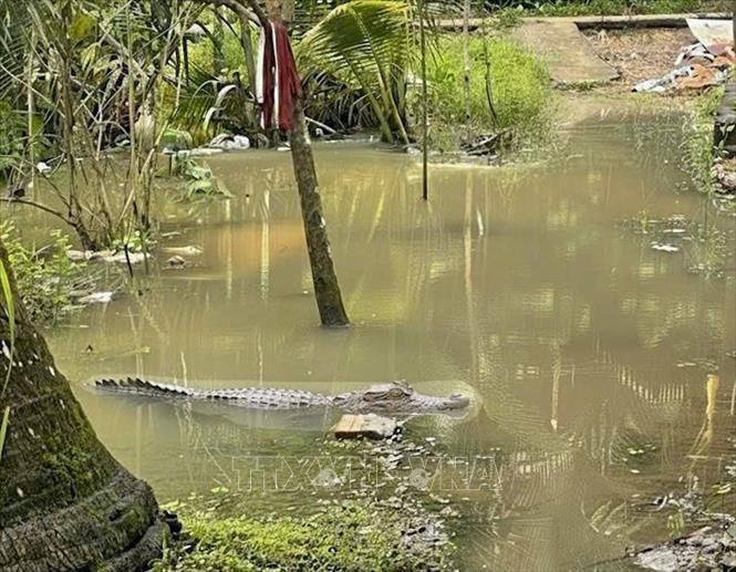 Подпись к фотографии